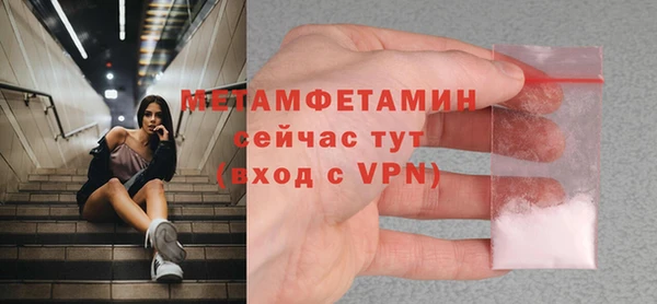прущие грибы Лабытнанги