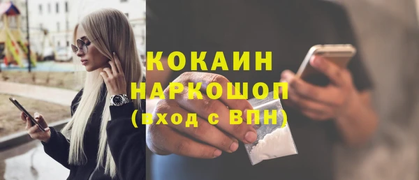 прущие грибы Лабытнанги