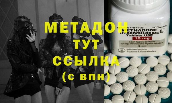 прущие грибы Лабытнанги