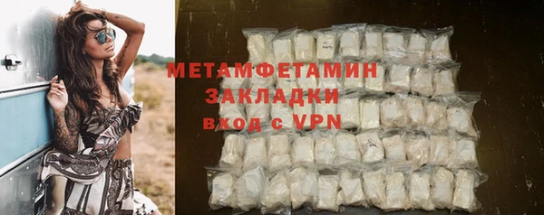 прущие грибы Лабытнанги