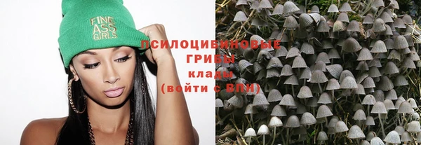 стафф Лихославль