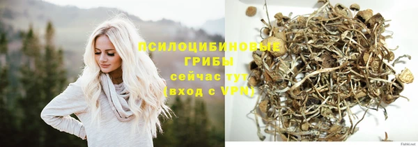 МДПВ Алагир